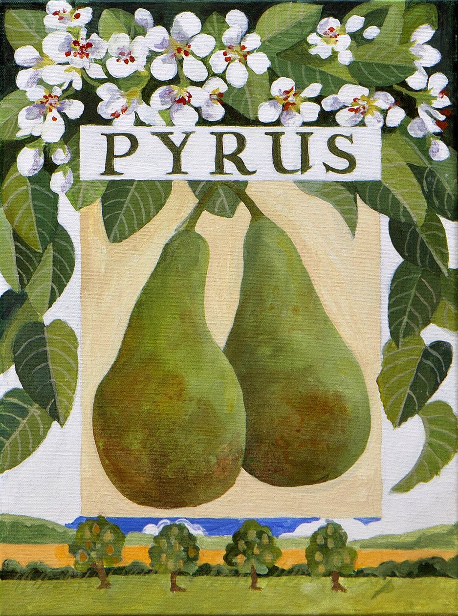 Pyrus (päron), 2014 (akryl på duk) av Jennifer Abbott