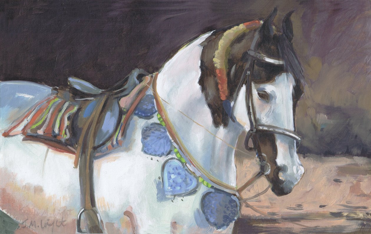 Marwari Horse II (olja på duk) av Jennifer Wright