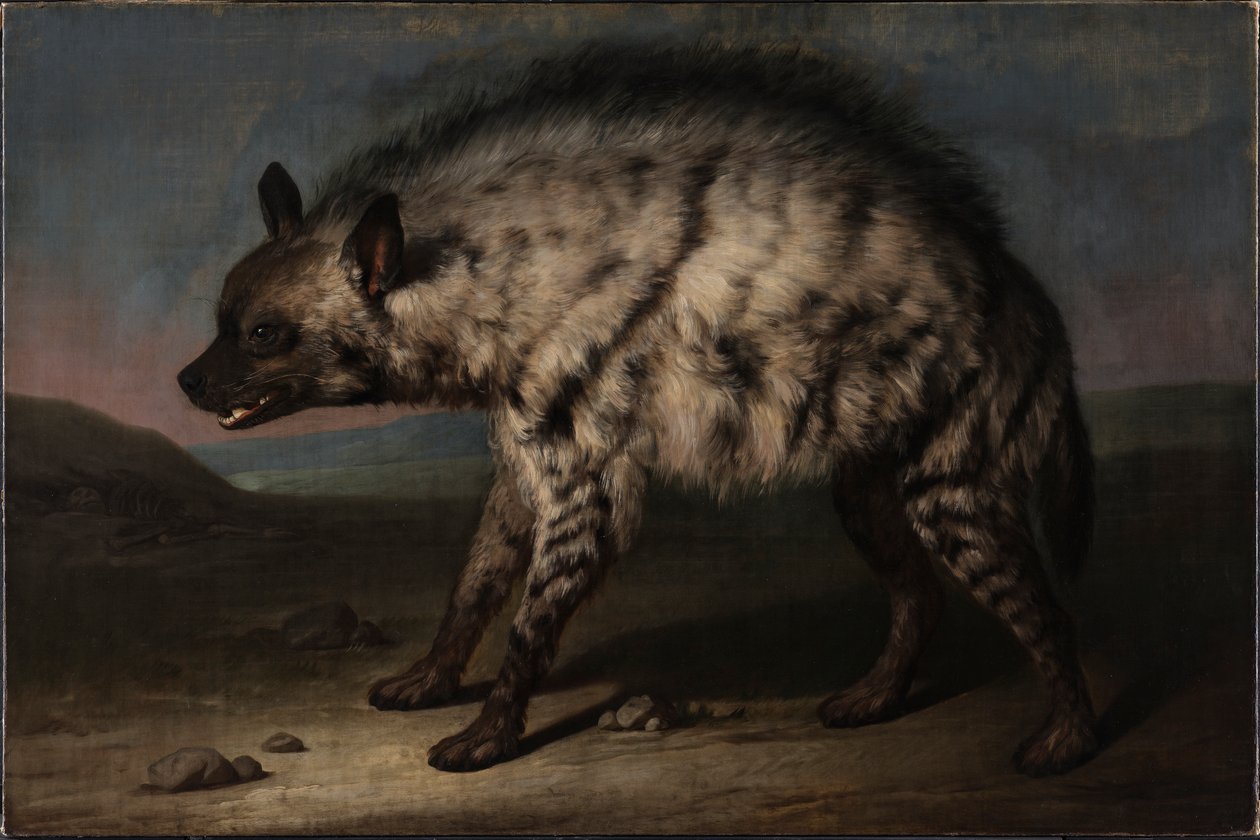 Hyenan i menageriet på Frederiksbergs slott av Jens Juel