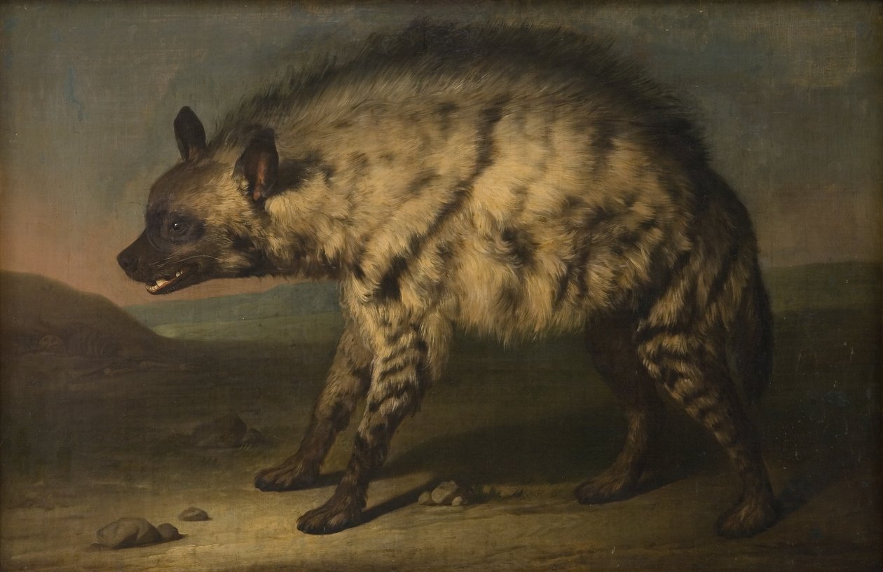 Hyenan i menageriet på Frederiksbergs slott av Jens Juel