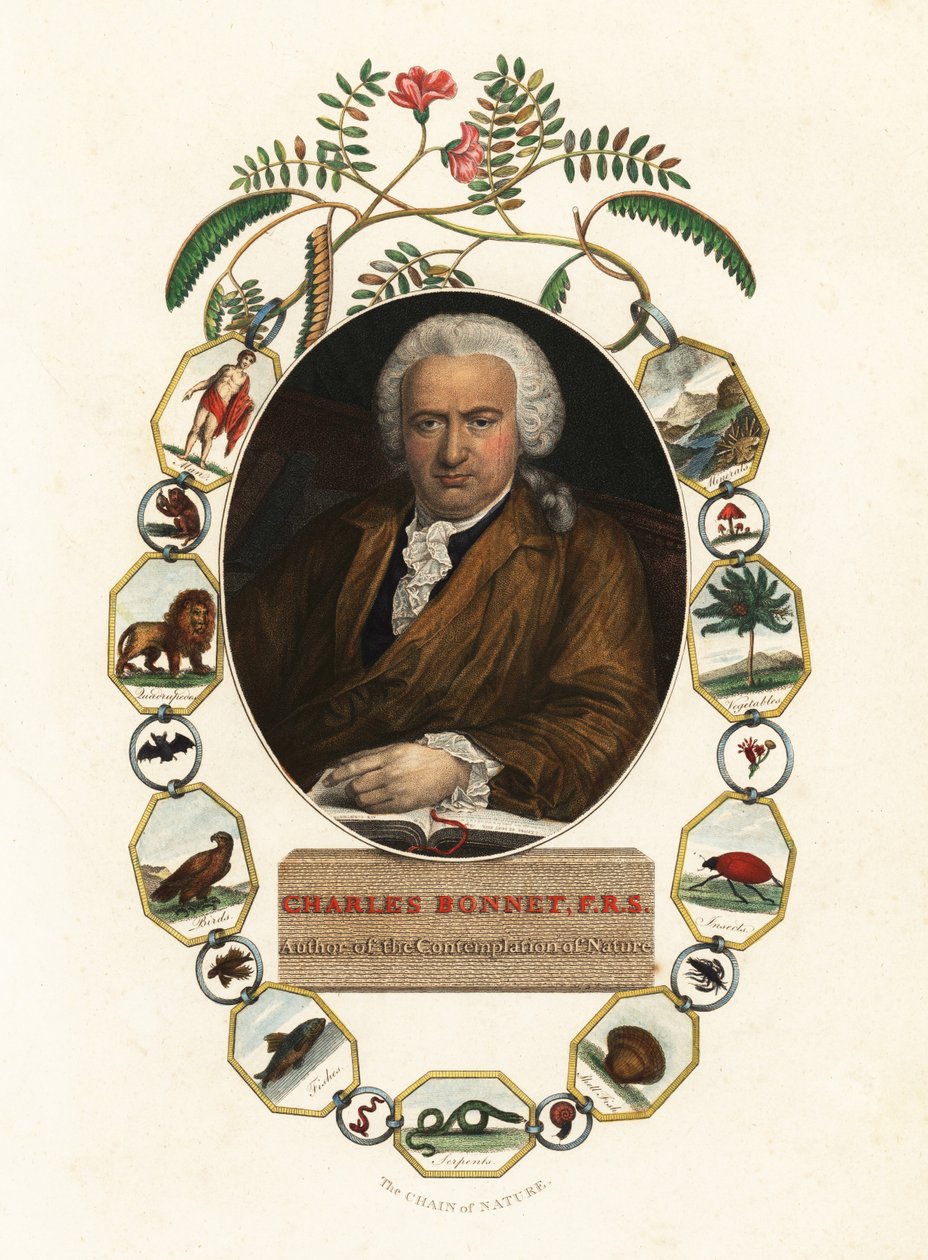 Porträtt av Charles Bonnet, naturforskare i Geneve.1803 (gravyr) av Jens Juel
