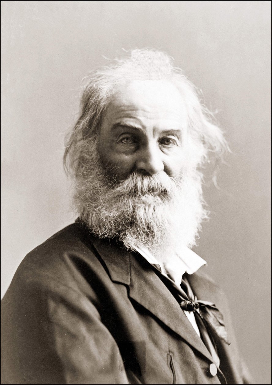 Porträtt av Walt Whitman (1819 - 1892) av Gurney mellan 1880 och 1890. av Jeremiah Gurney