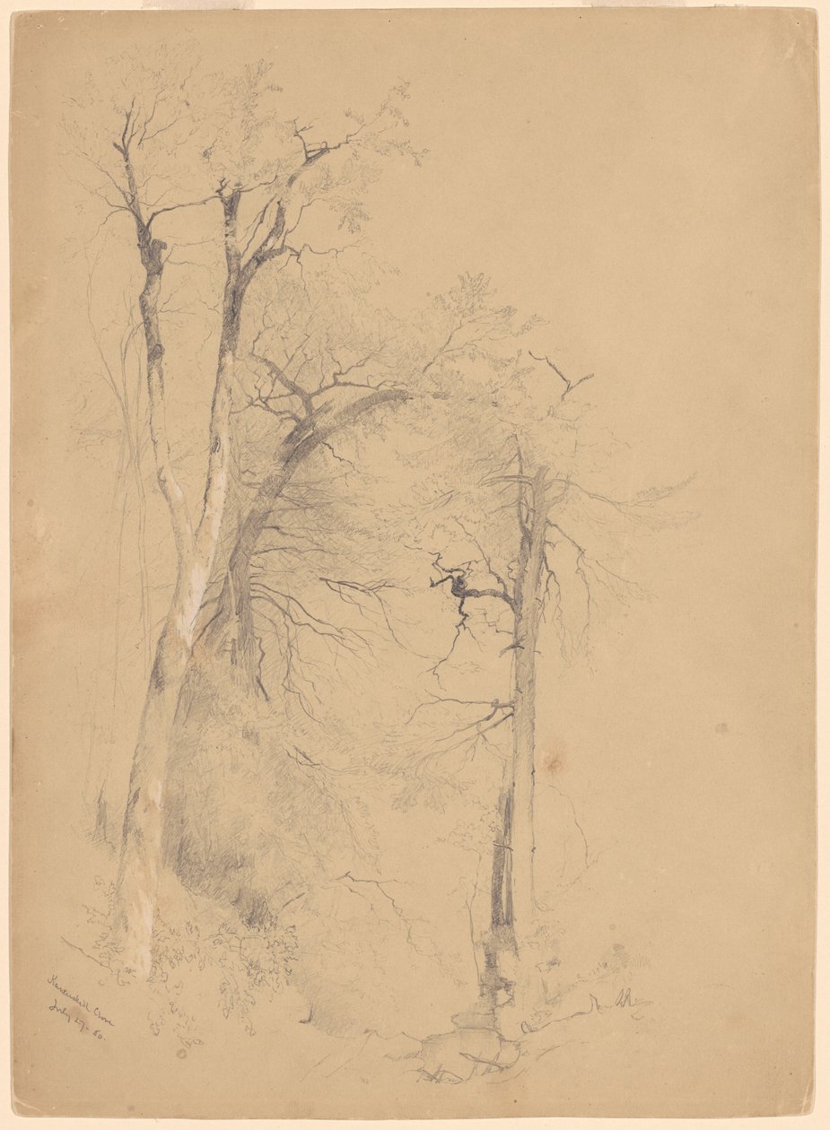 Kaaterskill kryddnejlika av Jervis McEntee