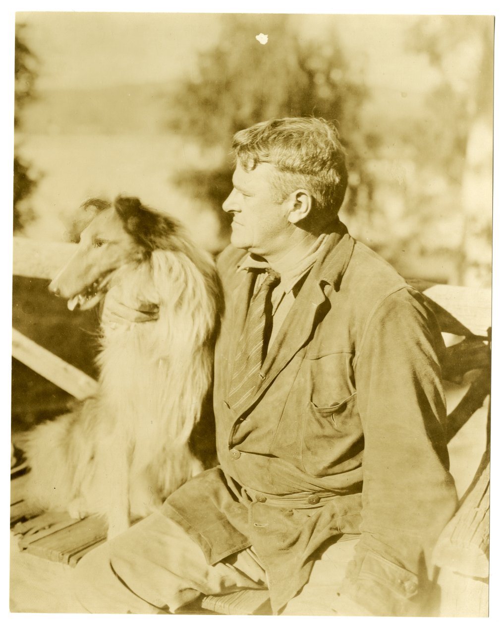 Albert Payson Terhune, författare, ca 1916-28 (foto av gelatinsilver) av Jessie Tarbox Beals