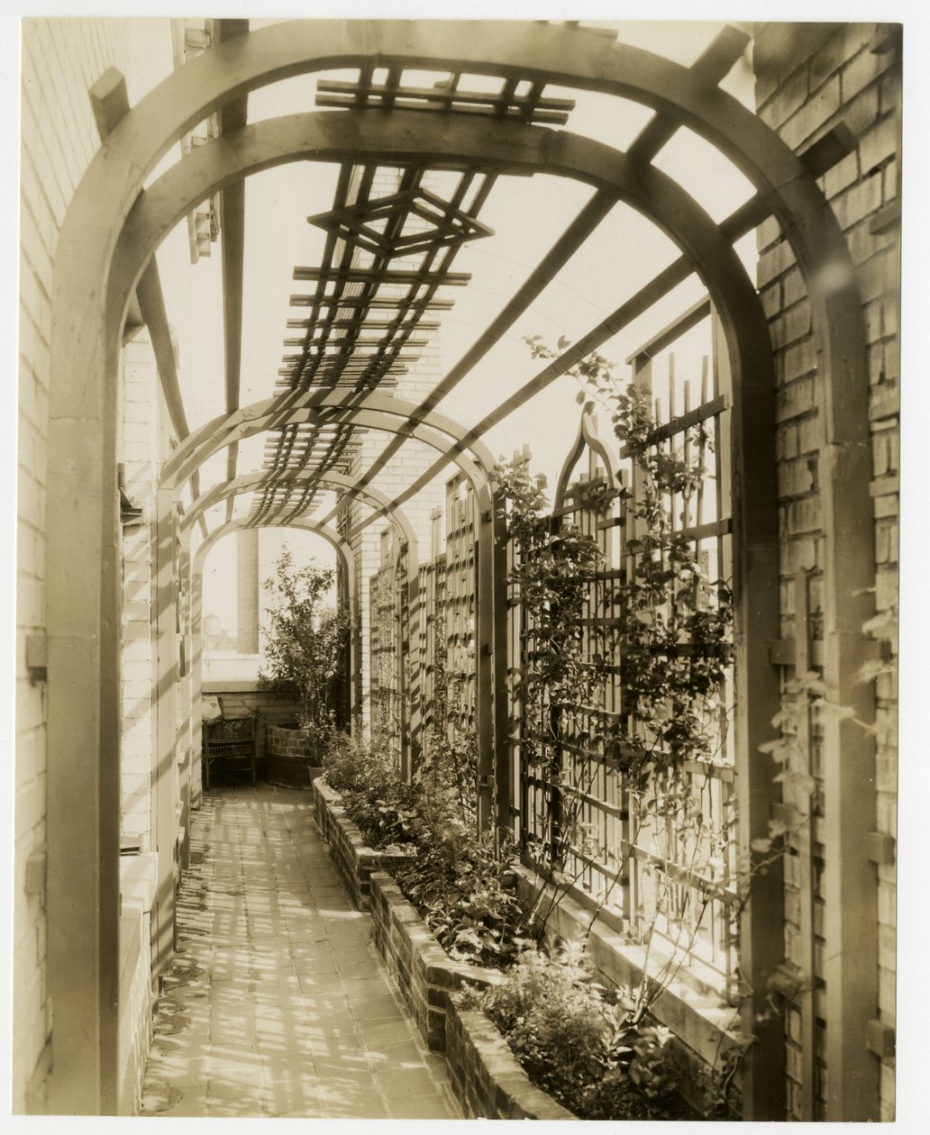 Regina Jais trädgård, ca 1936-37 (gelatinsilverfoto) av Jessie Tarbox Beals