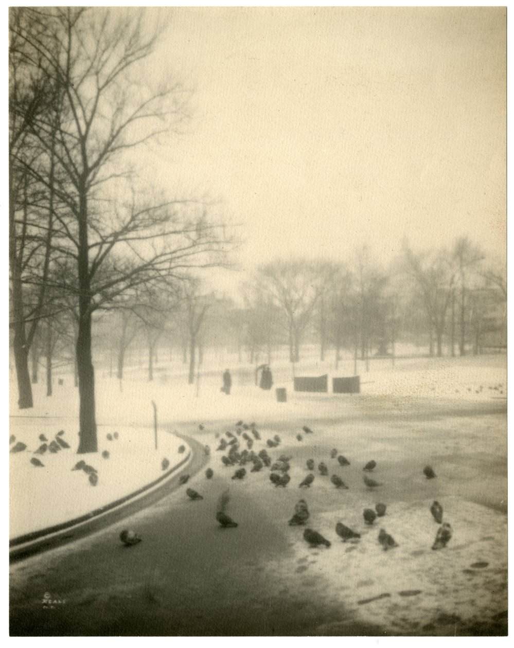 Boston Common, Boston, USA, ca 1902-10 av Jessie Tarbox Beals