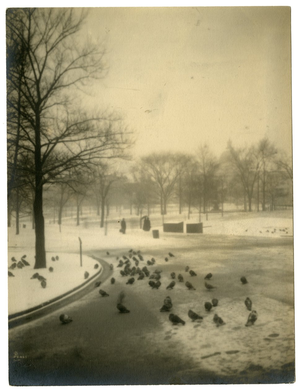 Vanligt med duvor, Boston, USA, c.1902-10 av Jessie Tarbox Beals