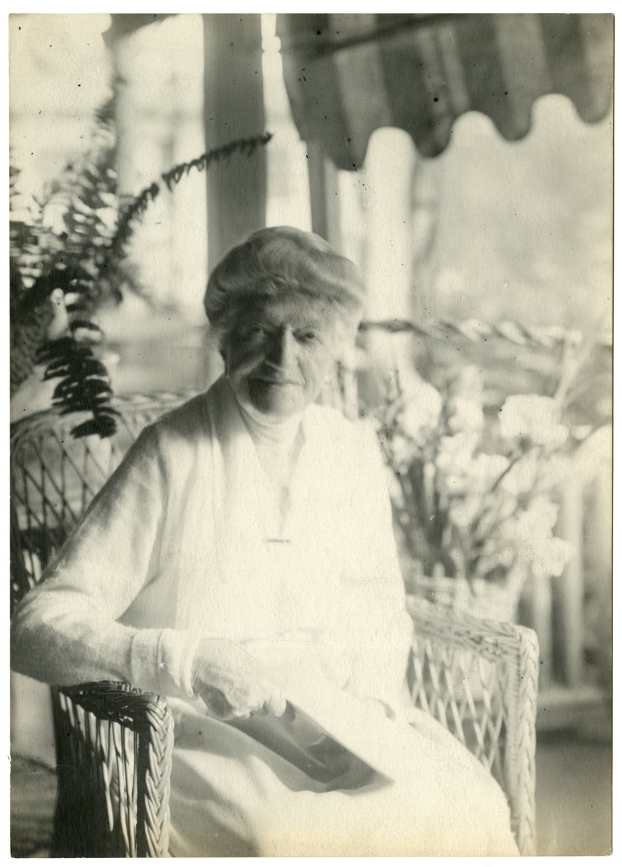 Mrs L D James från Williamsburg Massachusetts, syster till Marshall Field, ca 1905-28 (foto av gelatinsilver) av Jessie Tarbox Beals