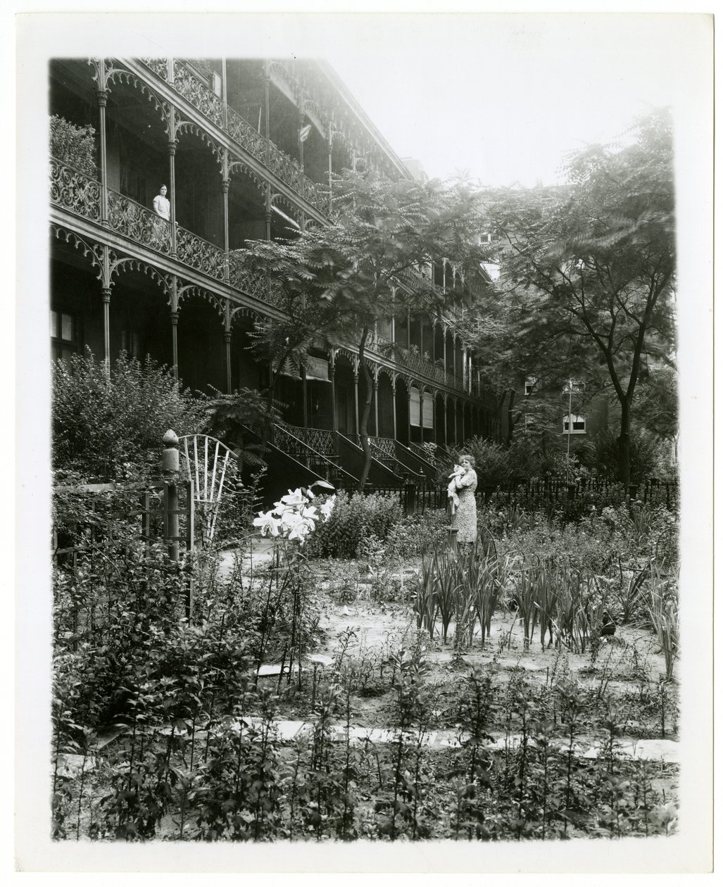 Rhinelander House gardens, W 11th St, Greenwich Village, New York, USA, ca 1905-38 (foto av gelatinsilver) av Jessie Tarbox Beals