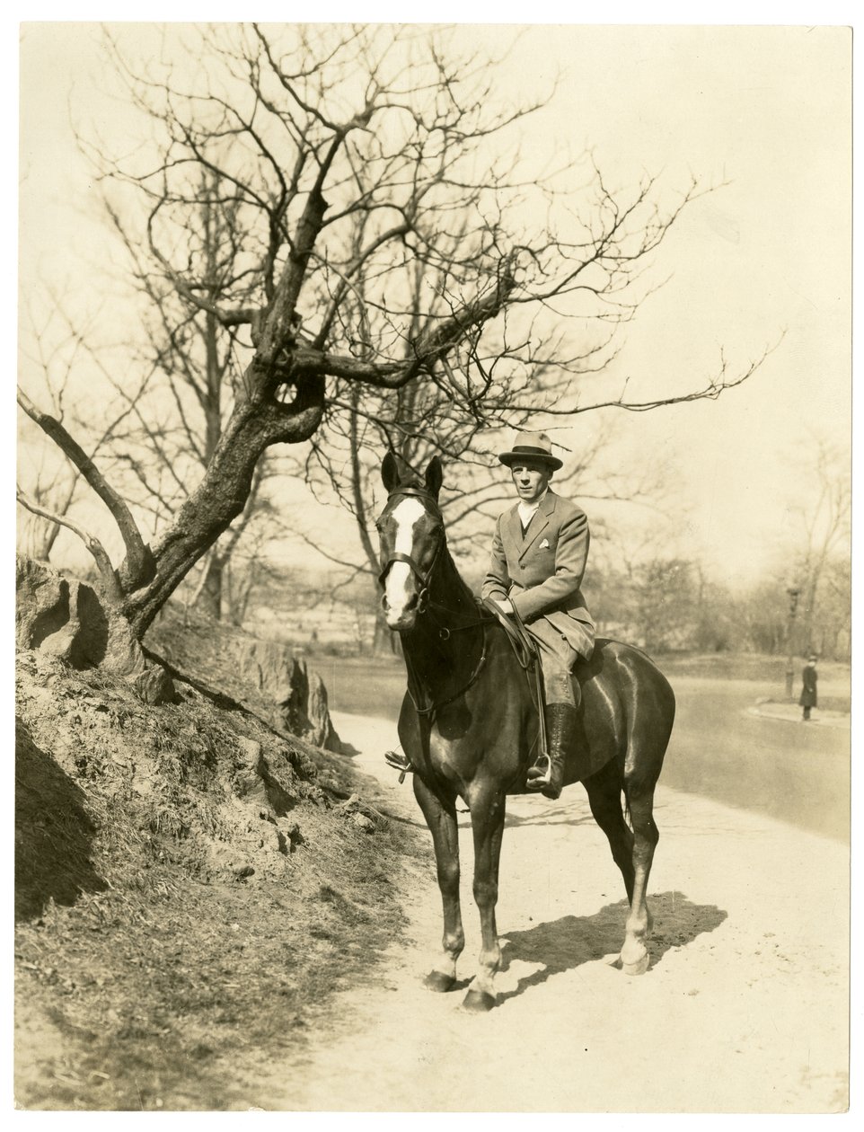 Roland Young, ca 1905-27 (foto av gelatinsilver) av Jessie Tarbox Beals