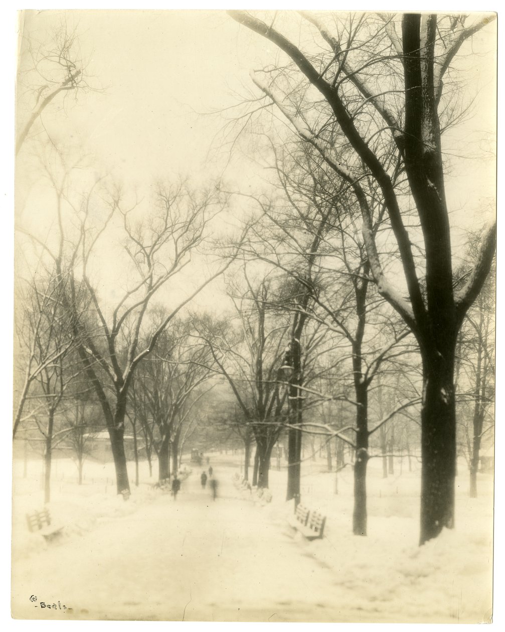 The Common, Boston, USA, ca 1902-10 (foto av gelatinsilver) av Jessie Tarbox Beals