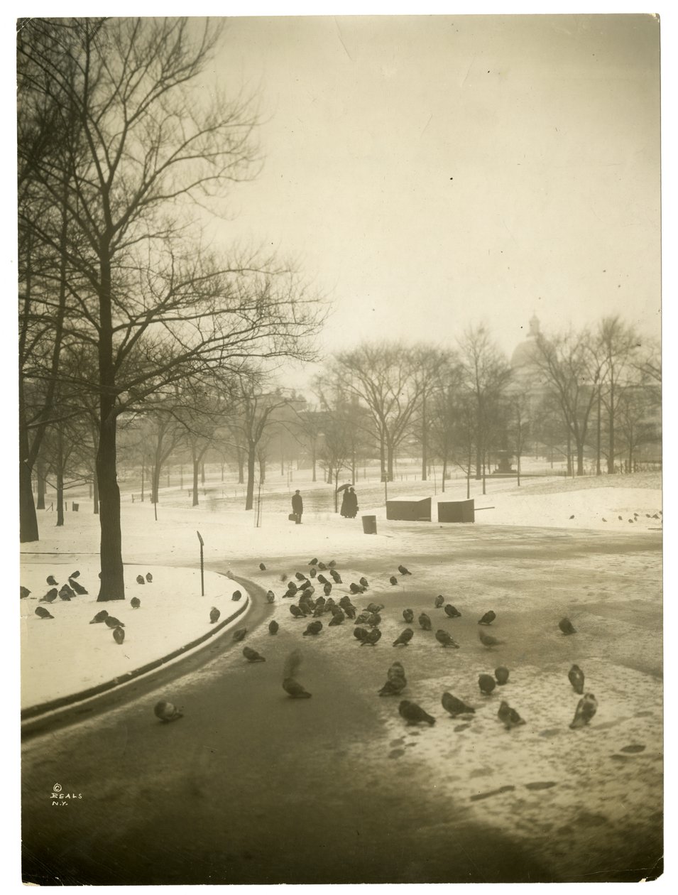 Ovanligt kallt i allmänningen, Boston, USA, ca 1902-10 (foto av gelatinsilver) av Jessie Tarbox Beals