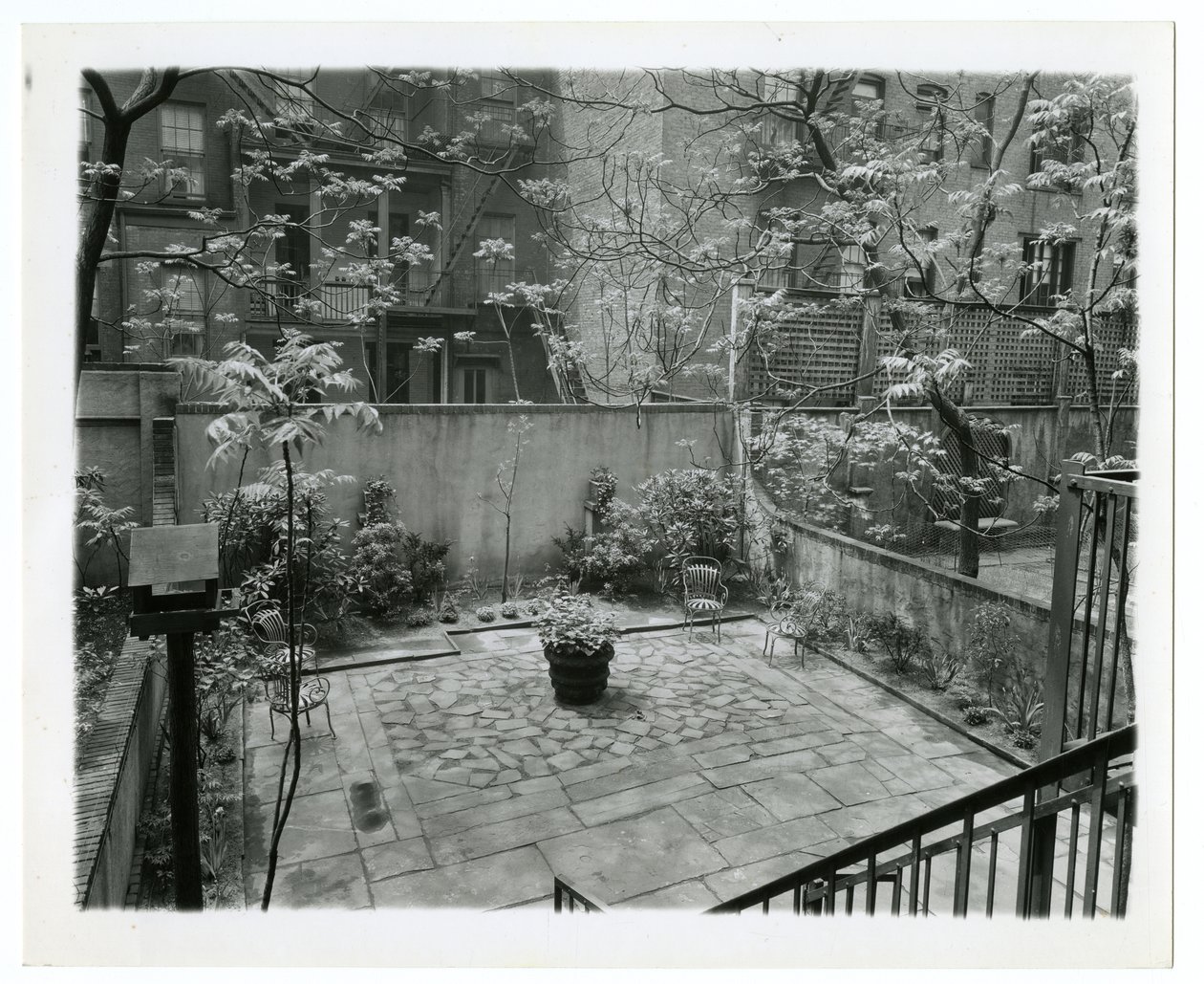 uteplats på baksidan med fågelhus, New York, USA, ca 1905-40 (foto av gelatinsilver) av Jessie Tarbox Beals