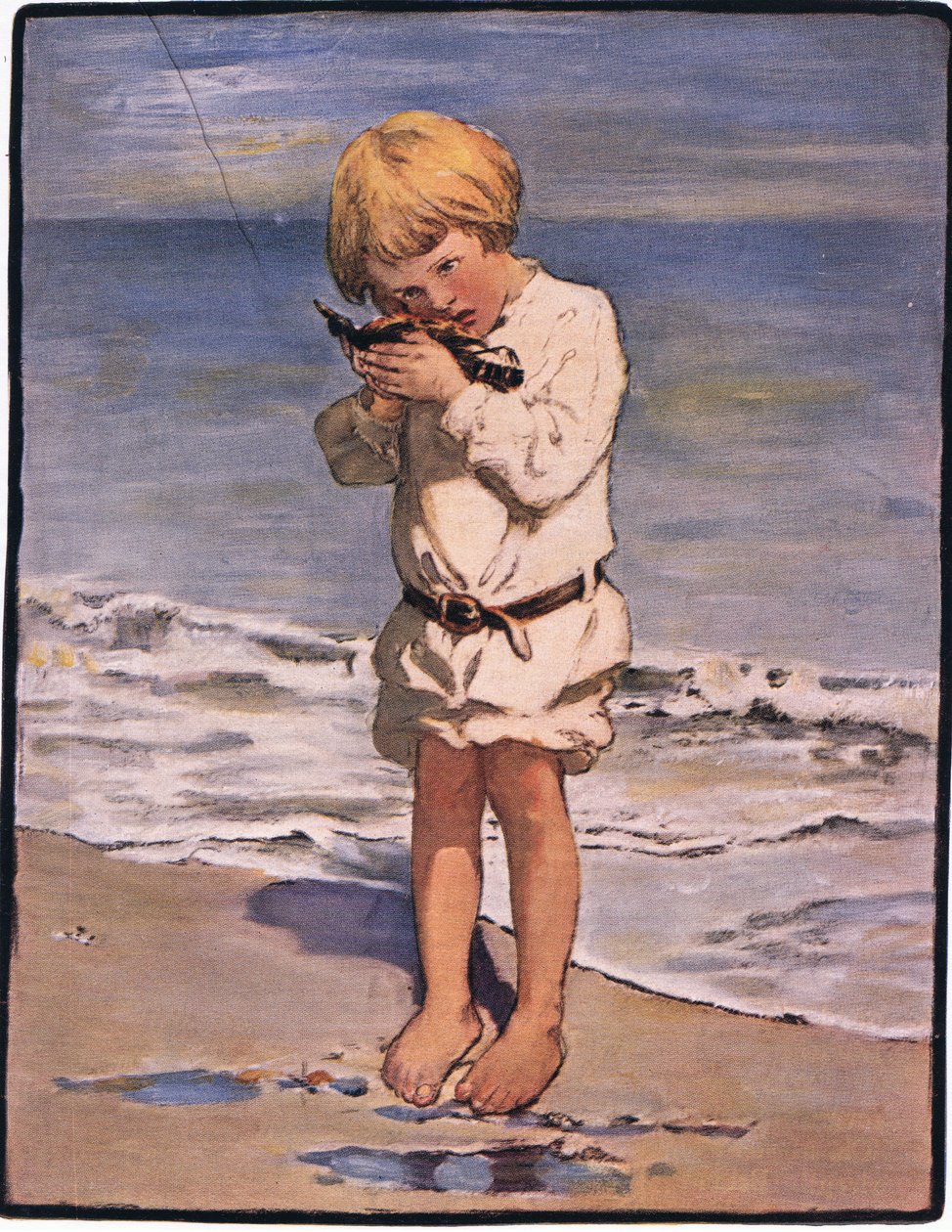 Billy boys upptäckt var en mås, med en skadad vinge (färg litho) av Jessie Willcox Smith