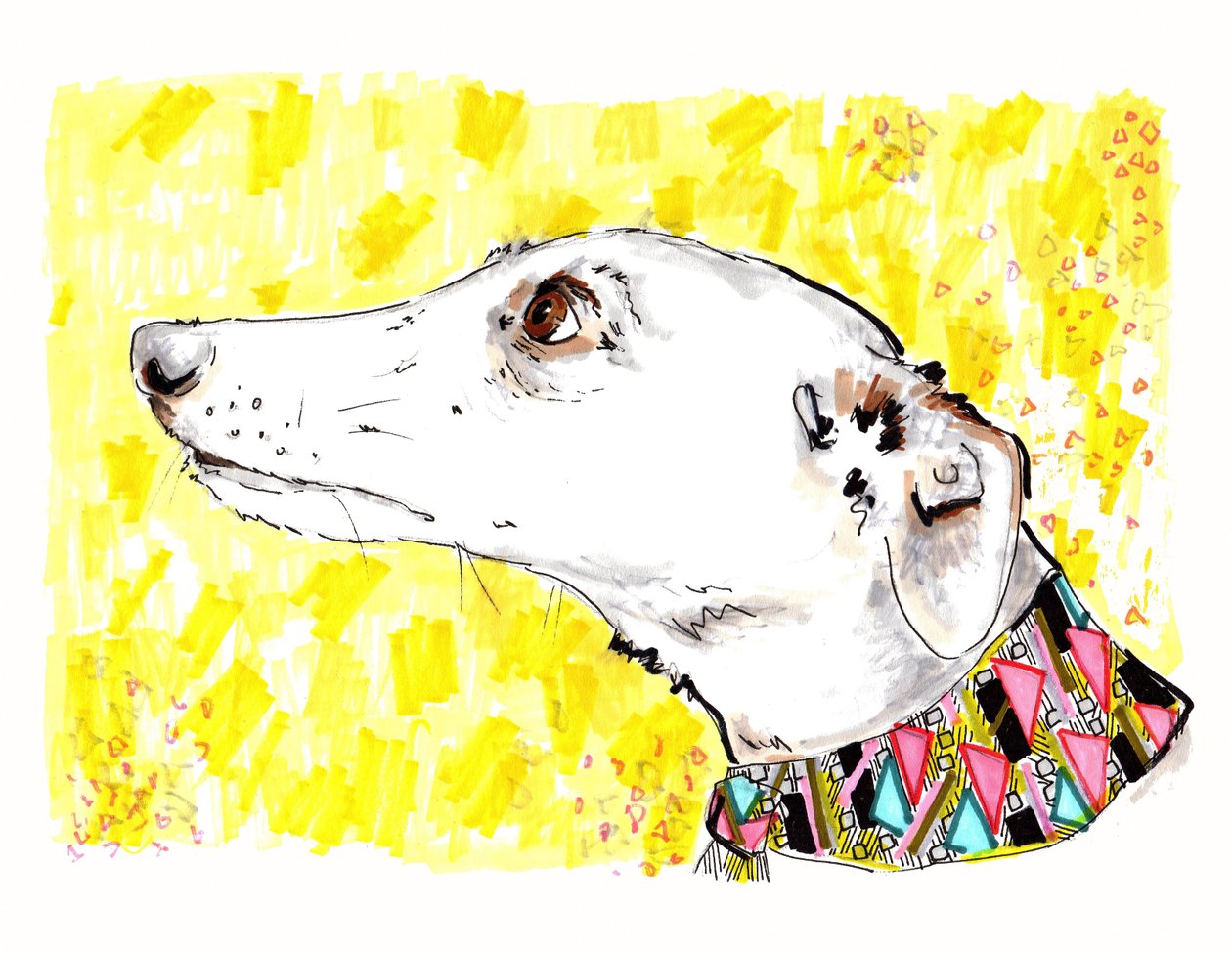 Silvertips The Greyhound, 2012 (penna och bläck på papper) av Jo Chambers