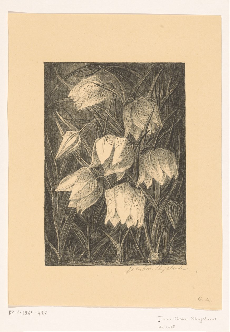 Vipa blommor av Jo van Oosten Slingeland (signed by artist)