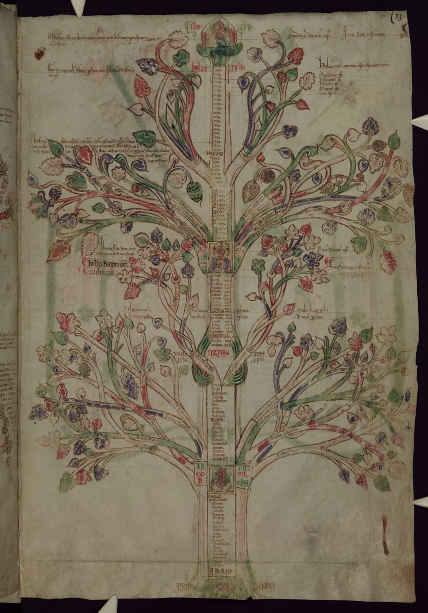 MS 255A fol.10r Livets träd, från Liber Figuarum av Joachim of Fiore