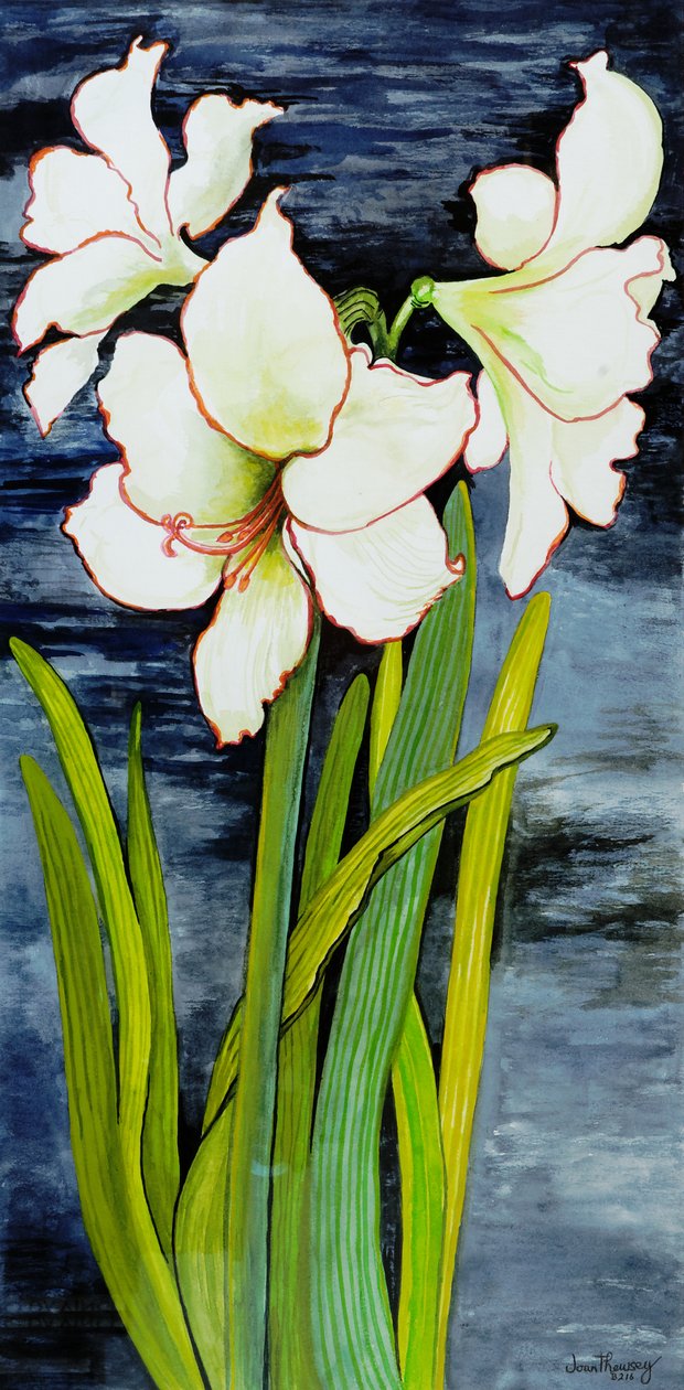Amaryllis mot en natthimmel av Joan Thewsey