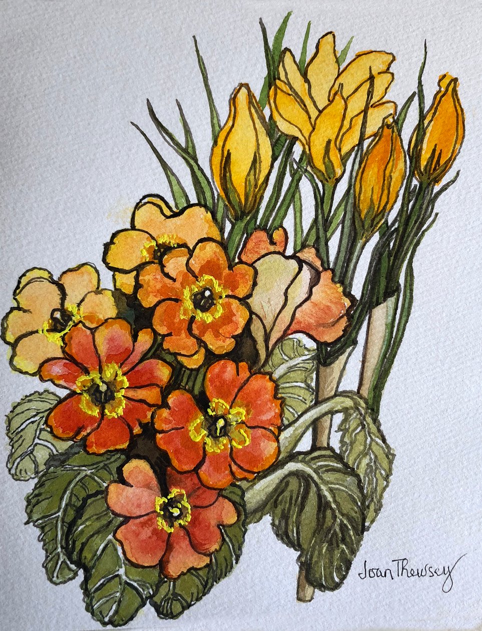 Crocus ma Primroses, swed av Joan Thewsey
