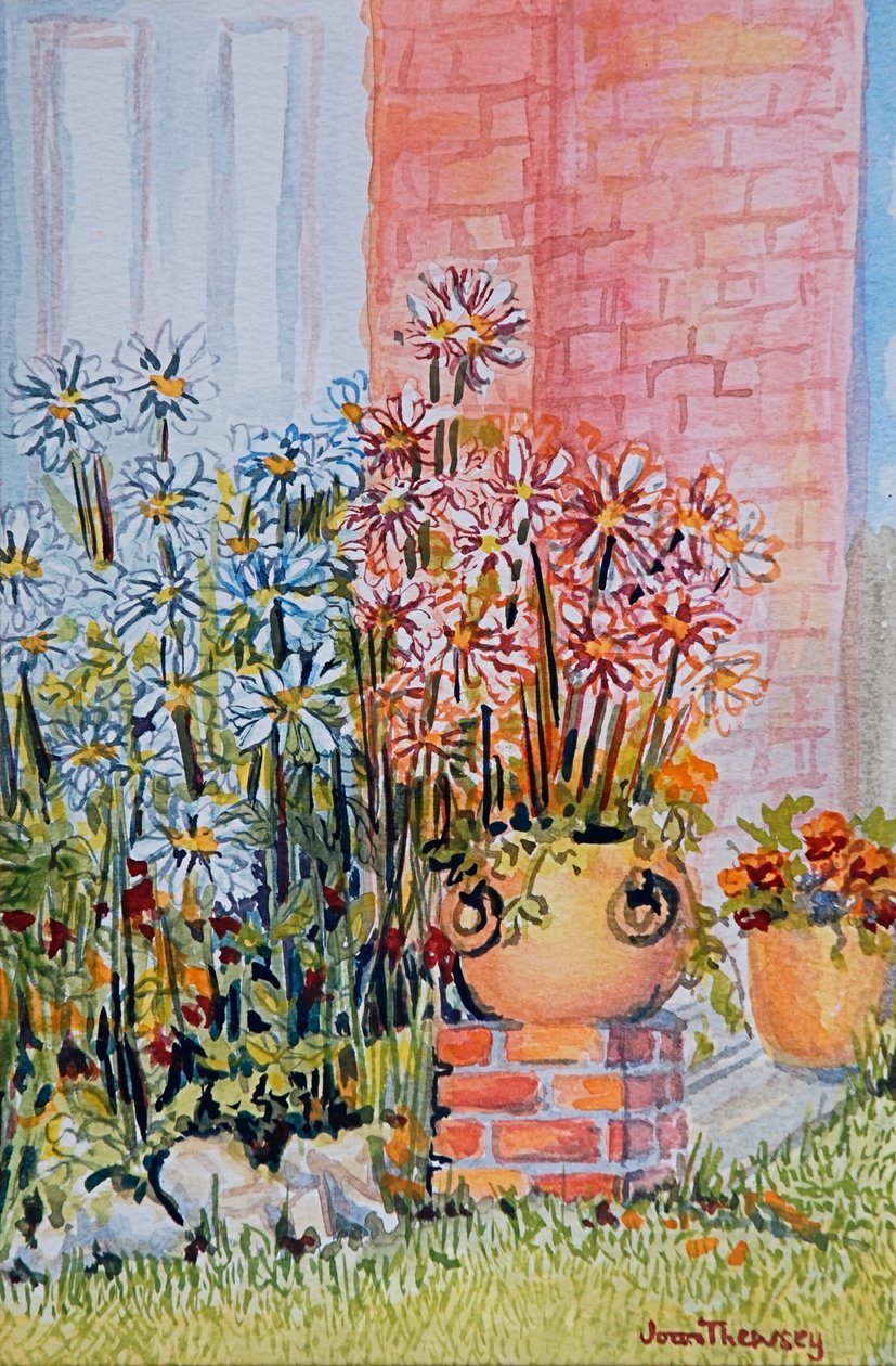 Margueriterna i stugträdgården av Joan Thewsey