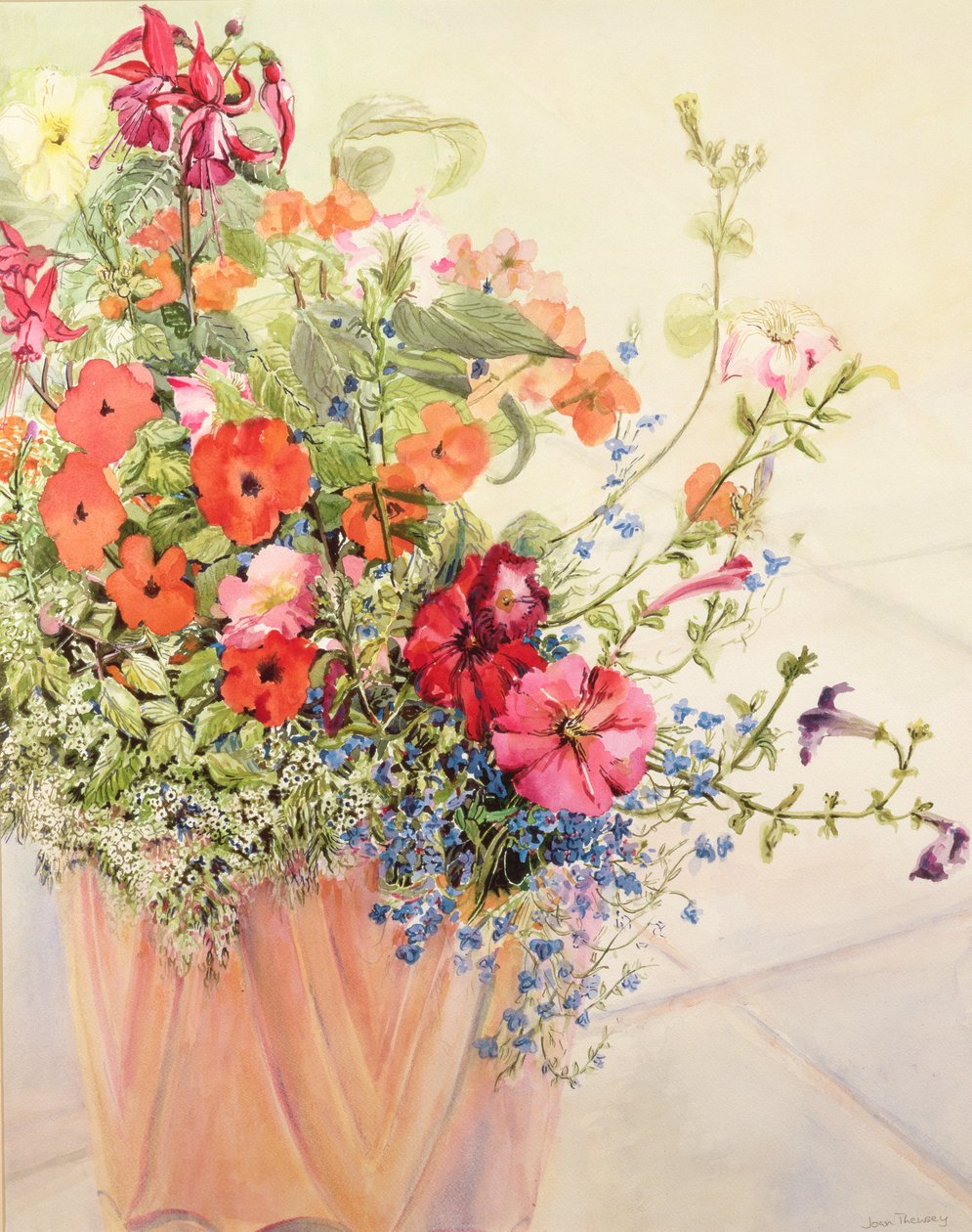 Petunior, Lobelias, Busy Lizzies och Fuschia i en terrakottakruka av Joan Thewsey