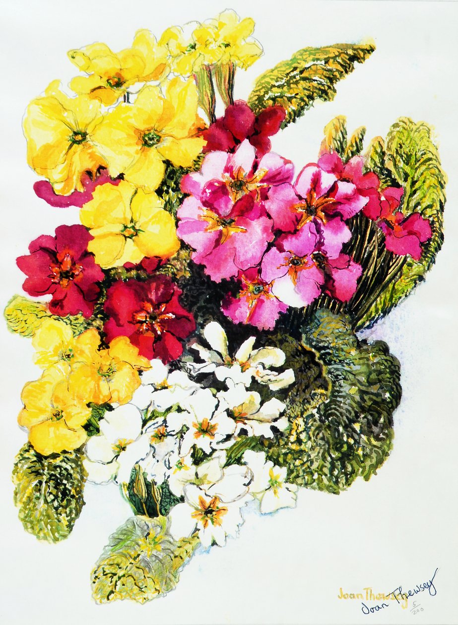 Primrosor, vit, gul, rosa och röd, 2000, av Joan Thewsey