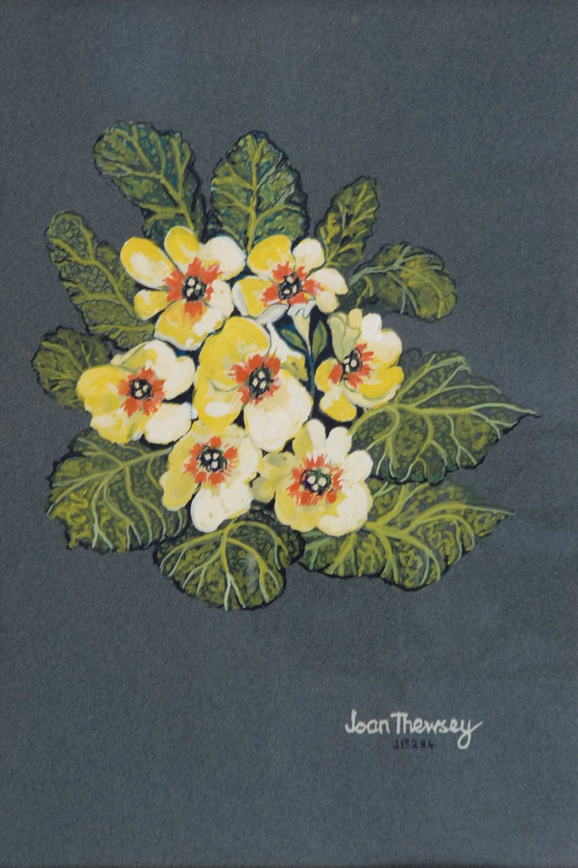 The Yellow Primrose 2012 (gouache på ingres papper) av Joan Thewsey