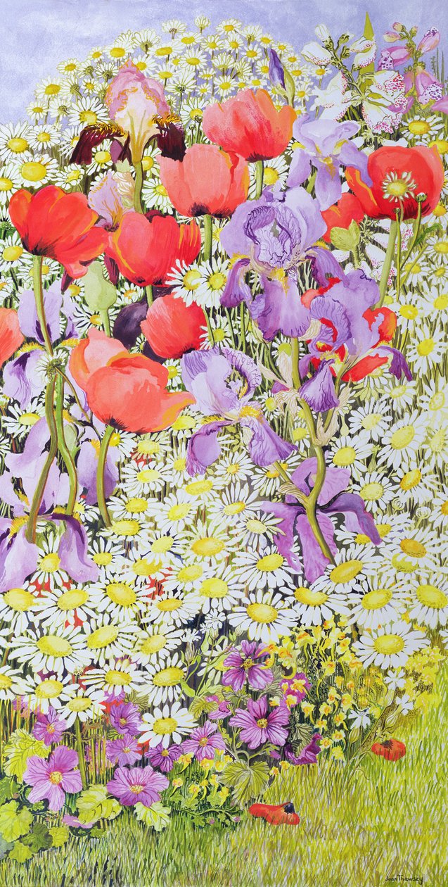 Bevarande av vilda blommor; Trädgårdsgräns av Joan Thewsey
