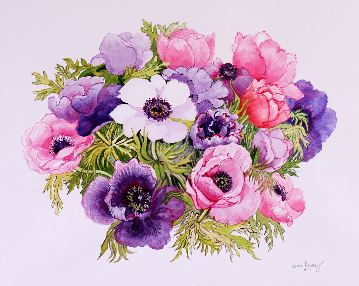 Anemoner,2001,akvarell på handgjort papper av Joan Thewsey