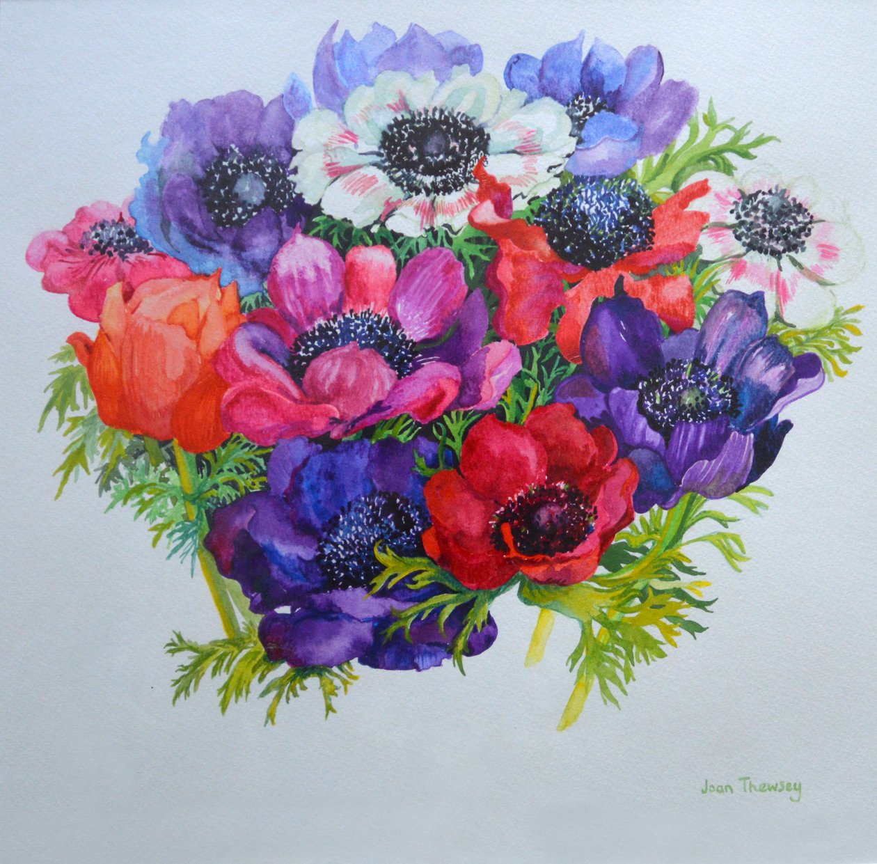 Anemoner: röd, vit, rosa och lila, 2000, av Joan Thewsey