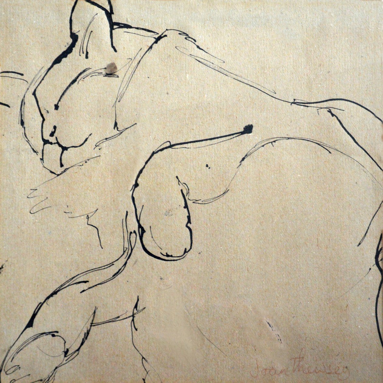 Cat, Mouser, 1980, (penna och bläck) av Joan Thewsey