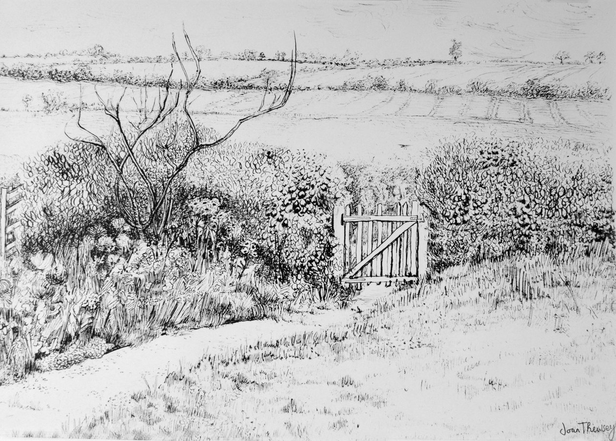 Cottage Gate and View Beyond, 2015, (penna och bläck) av Joan Thewsey