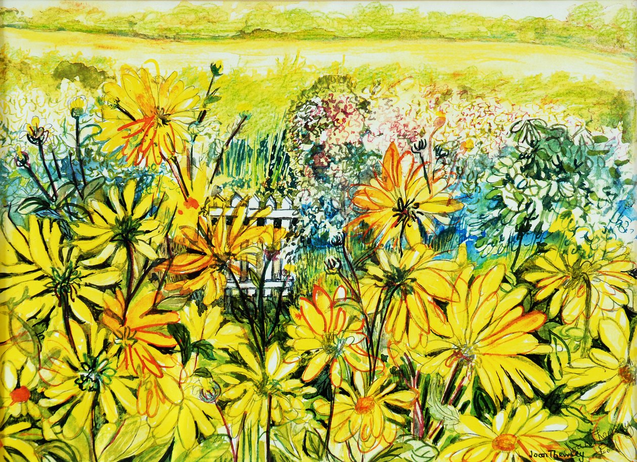 Cottage Gate sedd genom Sun Daisies, 2005, (vattenfärg) av Joan Thewsey