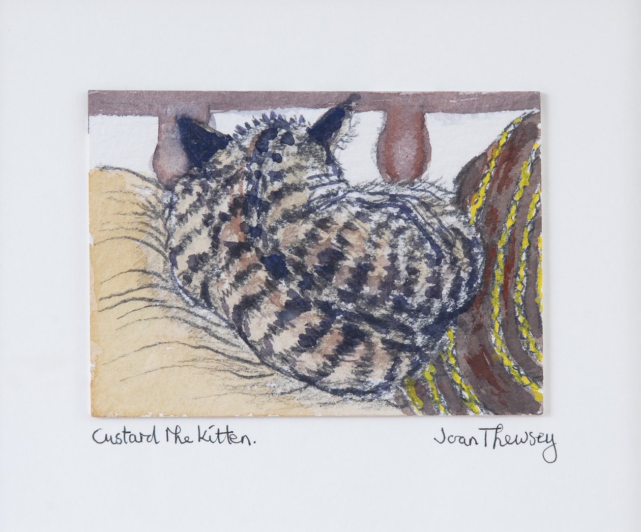 Custard the Kitten, 2005, (penna och akvarell) av Joan Thewsey