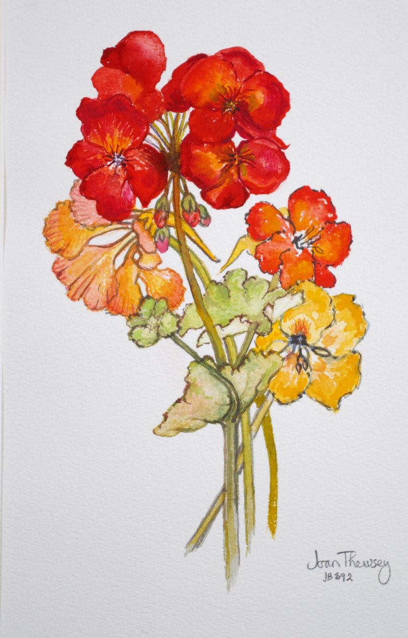 Pelargon och Nasturtiums, 2014, akvarell av Joan Thewsey