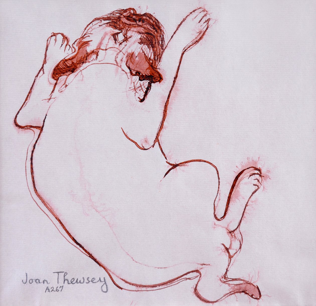 Pug Puppy 1, 2005, (Bläck på vått papper) av Joan Thewsey