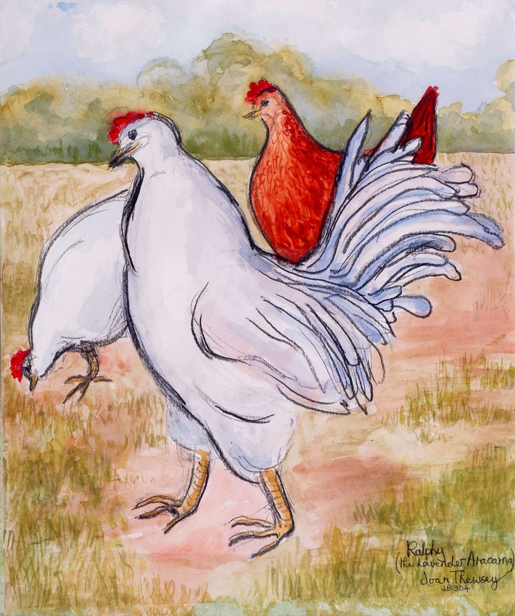 Ralfy, The Cockerel, 2005, (penna och akvarell) av Joan Thewsey