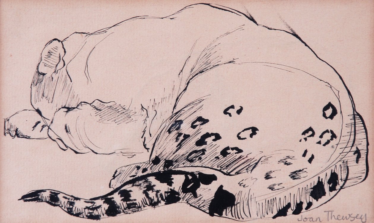 Sketch, Leopard, London Zoo 2005, (penna och bläck) av Joan Thewsey