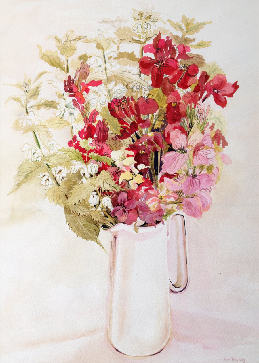 Stilleben med deadnettles och väggblommor (akvarell på papper) av Joan Thewsey