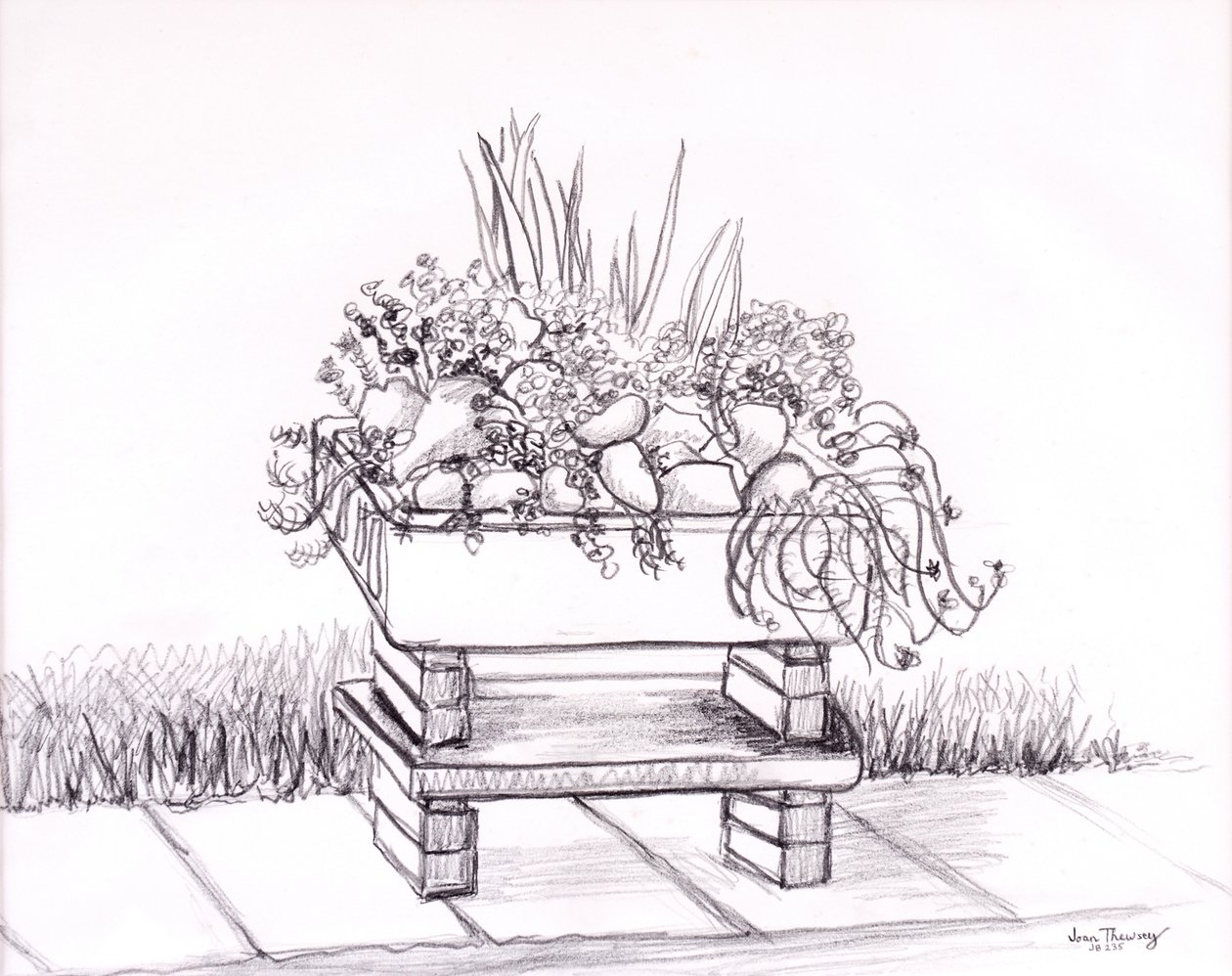 The Sink Garden, 2000, grafit av Joan Thewsey