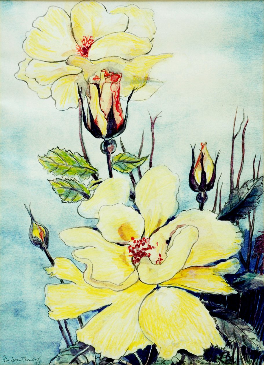 Yellow Rose in a Suffolk Breeze, 2005, (vattenfärg) av Joan Thewsey