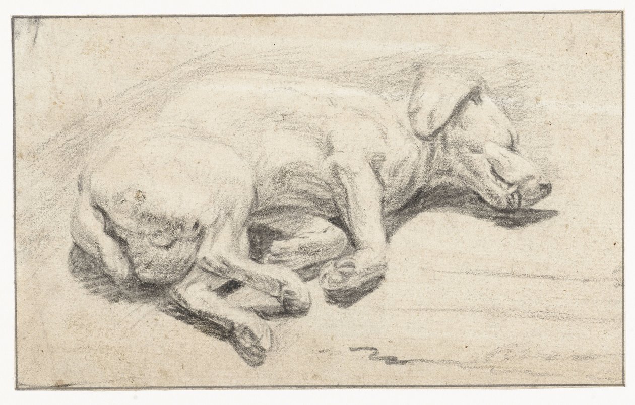 Liggande hund, sover av Joannes Fijt (attributed to)