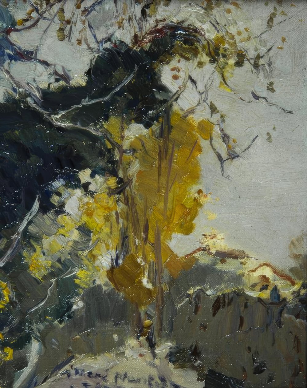 Baum av Joaquim Mir i Trinxet