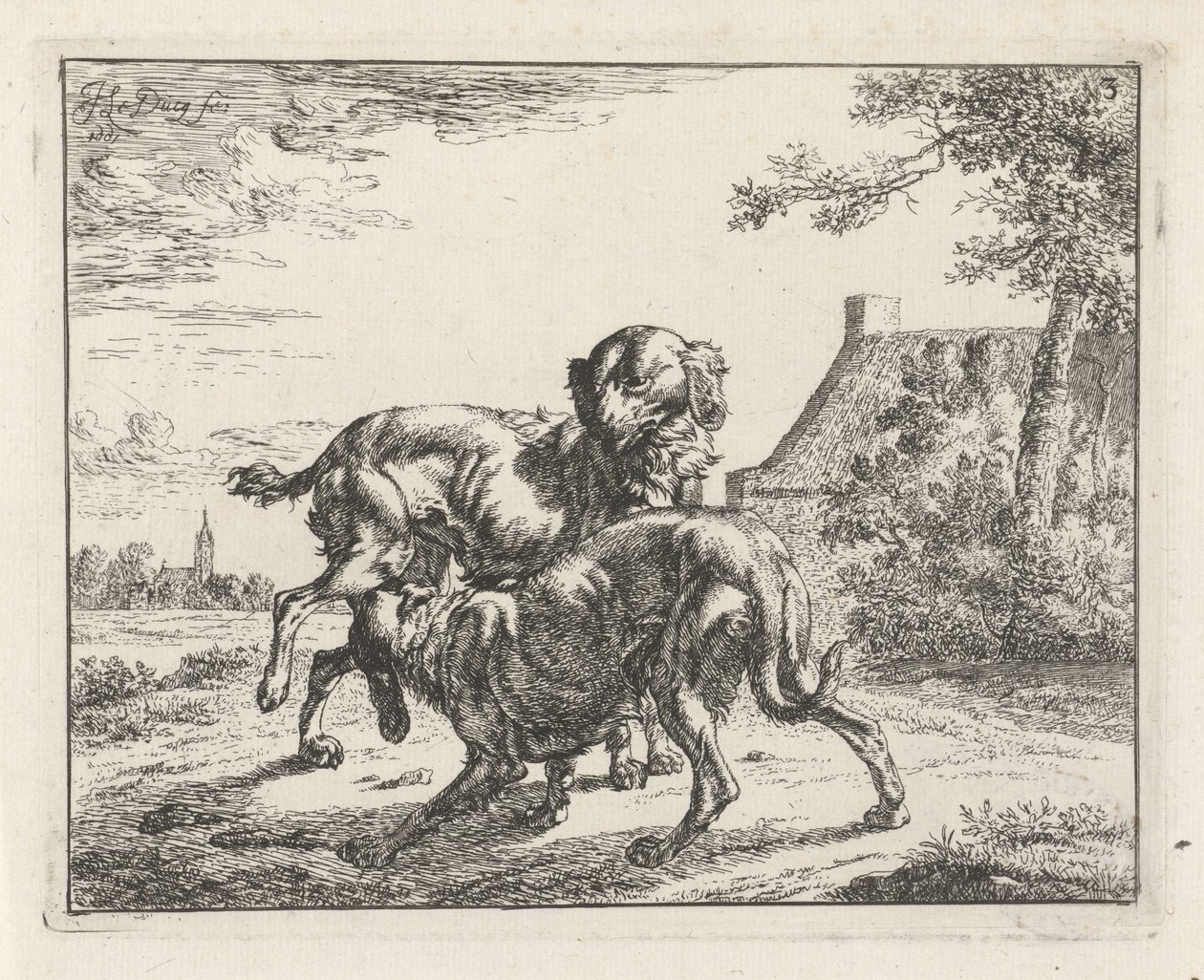 Hund och tik av Johan le Ducq