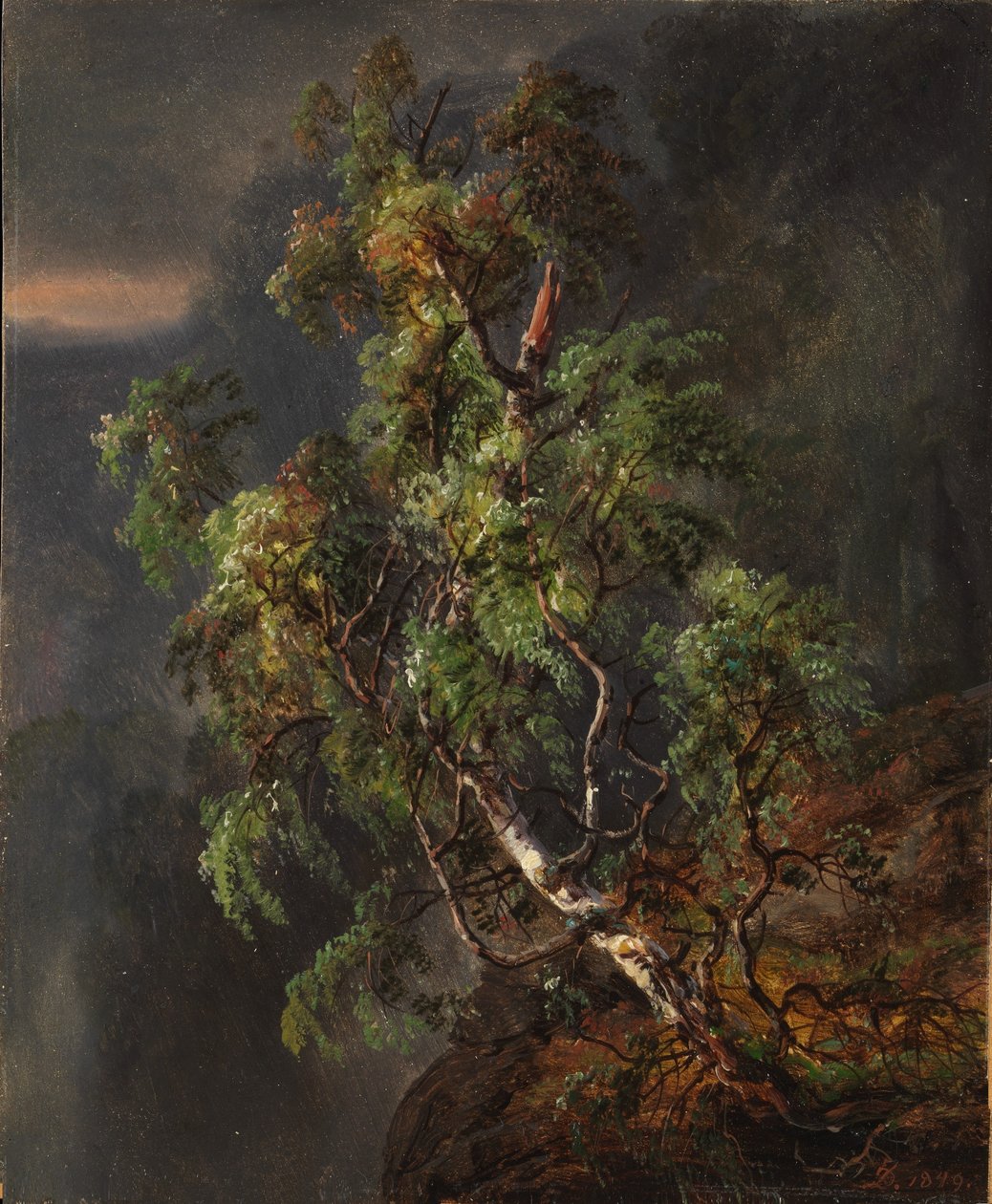 Björkträd i storm av Johan Christian Dahl