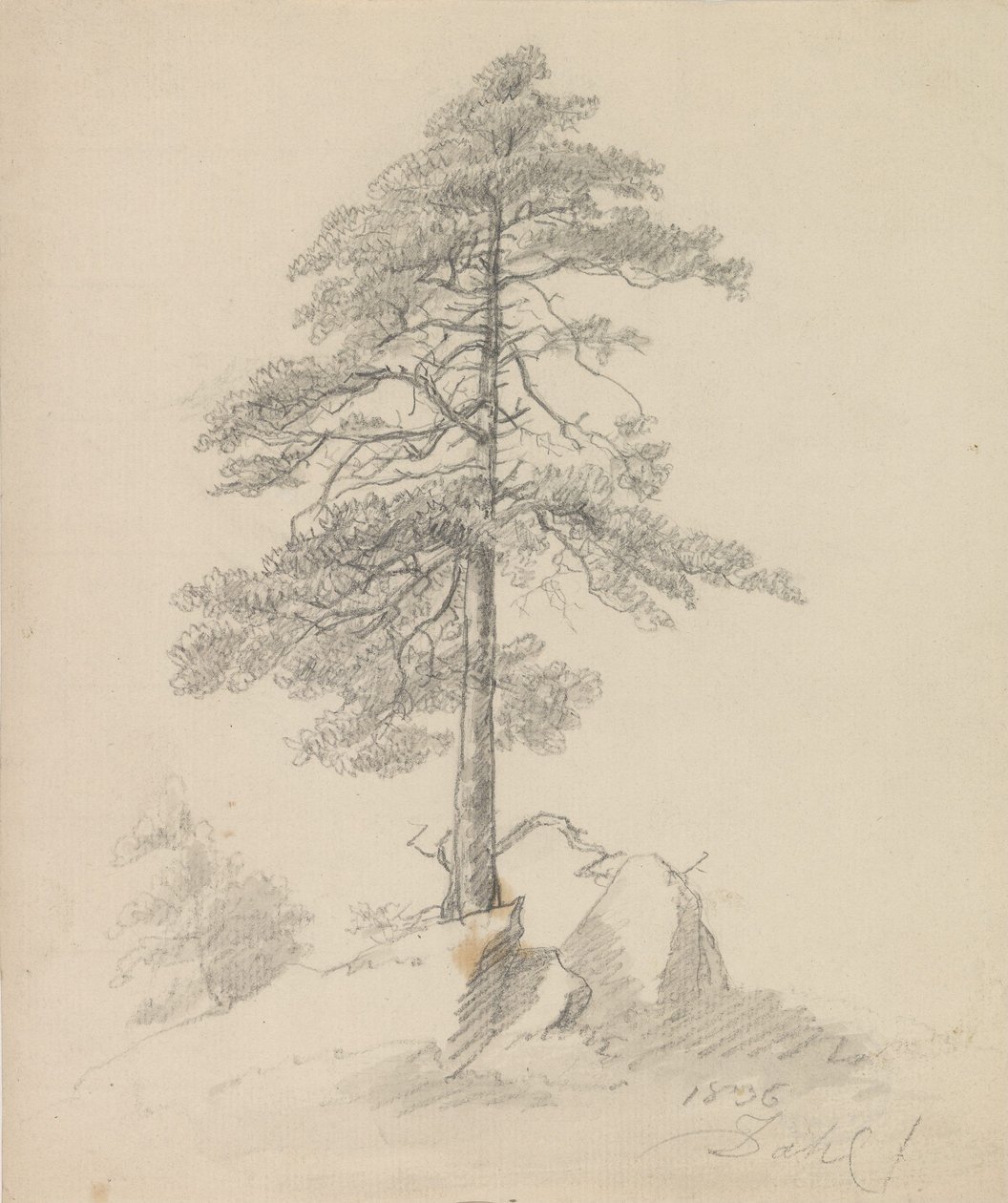 Tallar och klippor av Johan Christian Dahl