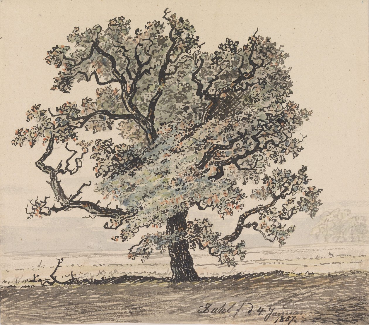 Tallskog på slätten av Johan Christian Dahl