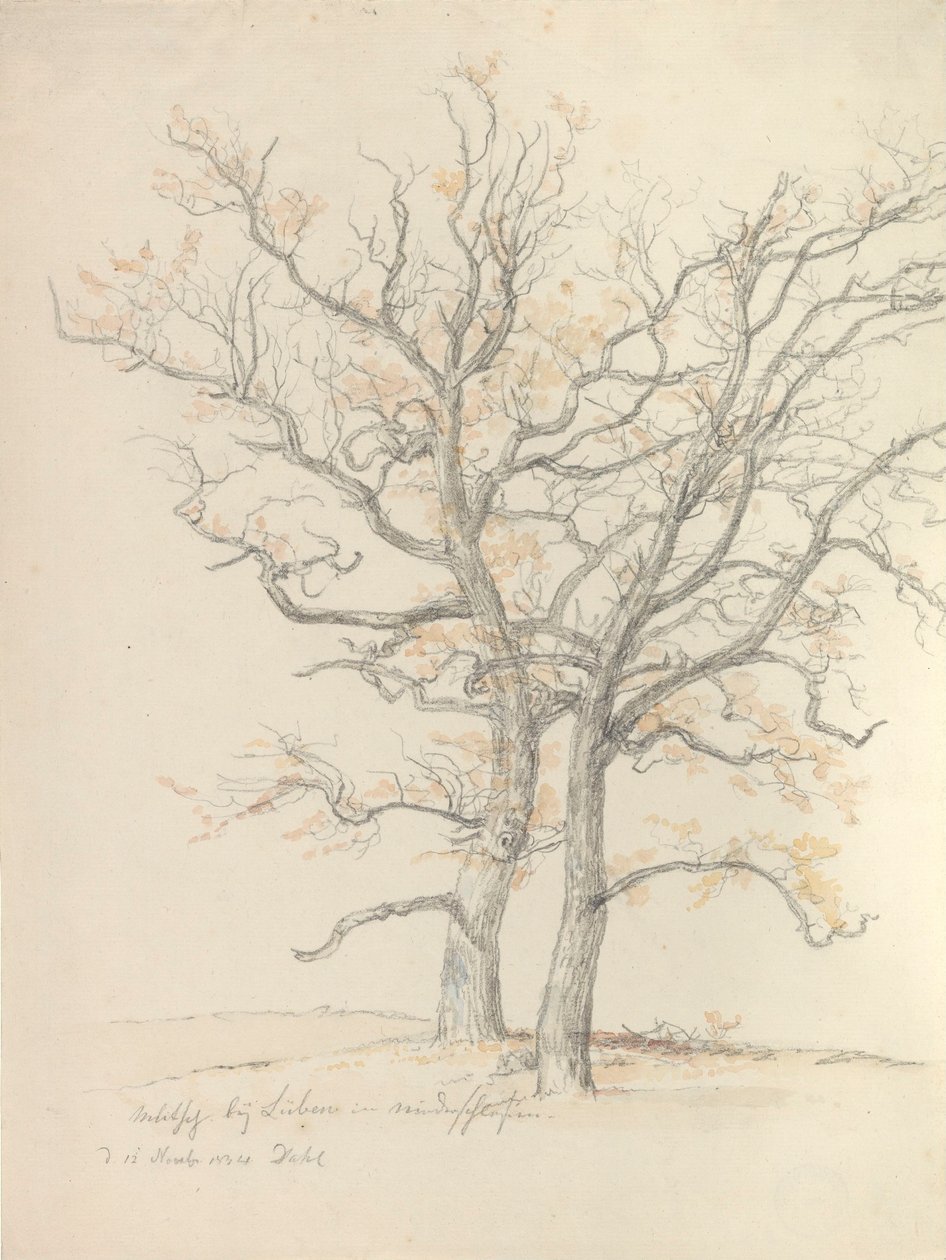 Två ekar av Johan Christian Dahl