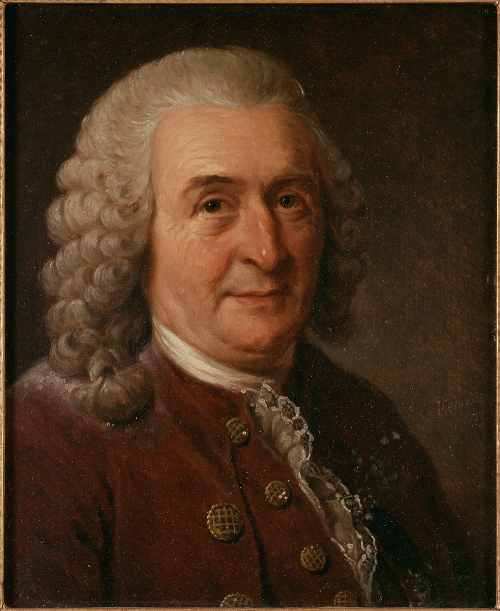 Porträtt av Carl Linné 1707-1778, 1827. av Johan Gustaf Sandberg