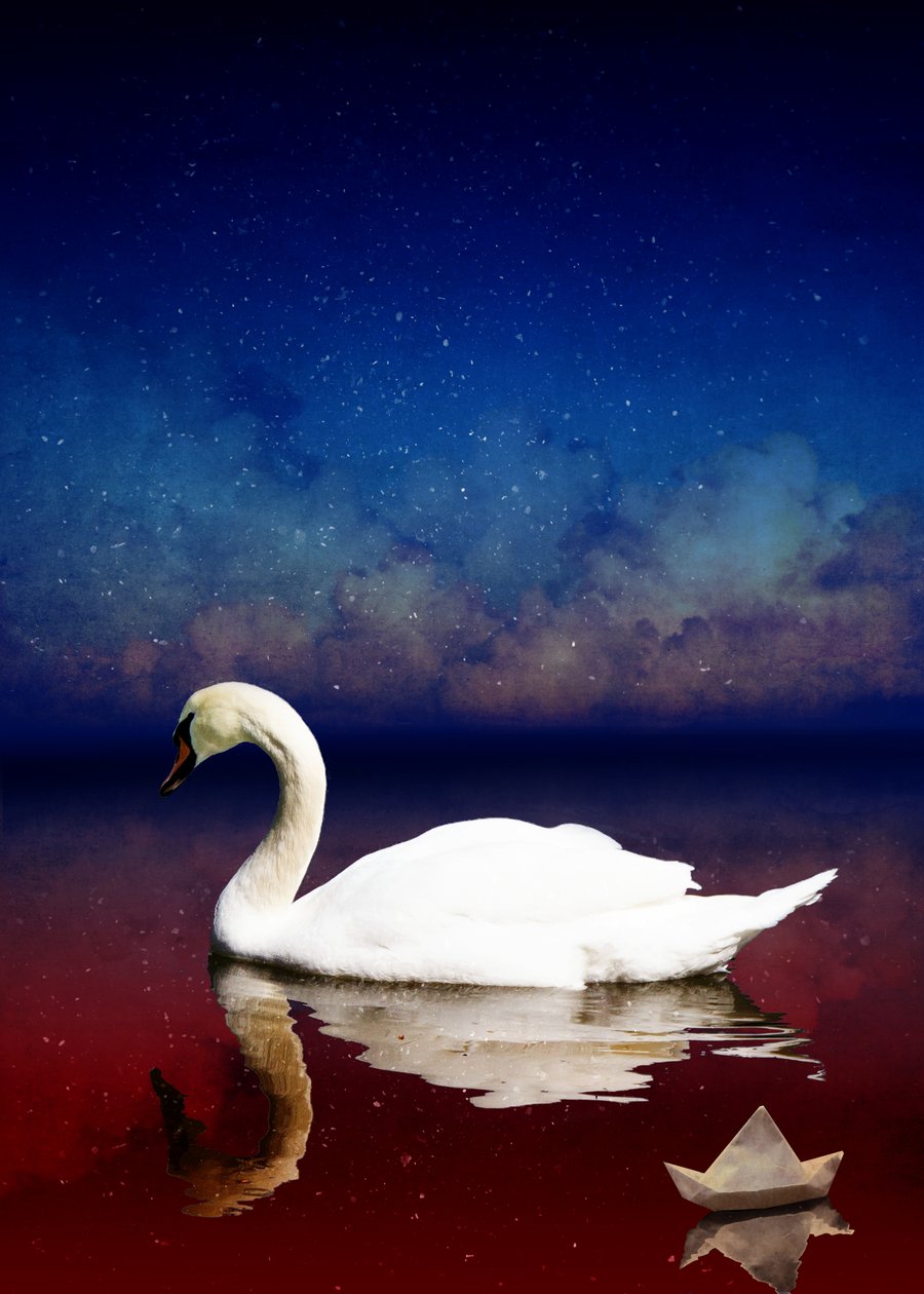 Bird Kingdom 4, 2018 (digital fotokonst) av Johan Lilja